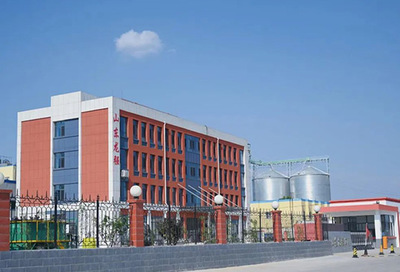 釀造工廠設計與生產(chǎn)技術支持 優(yōu)化流程與提升效益