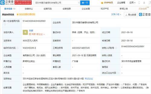 專業咨詢策劃服務 助力企業高效決策與持續發展